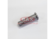 SWORZEŃ D25 (D36) X L86 (E59)