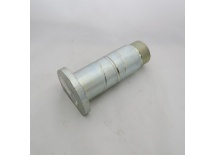 TRZPIEŃ GÓRNEGO POKŁADU - TYŁ