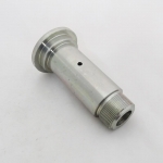 SWORZEŃ RAMIENIA GÓRA