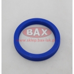 USZCZELNIACZ 45X55X8