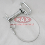 SWORZEŃ ZABEZPIECZAJĄCY