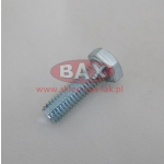 ŚRUBA TE8X25 8.8 UNI5739 Z,B,