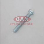 ŚRUBA TE8X55