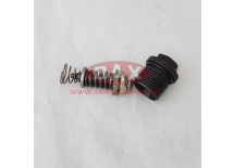 OGRANICZNIK CIŚNIENIA 50 BAR 157B2050