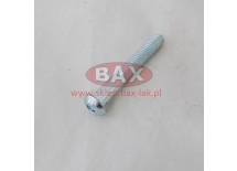 ŚRUBA GRZYBKOWA M6X40