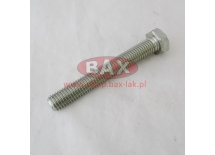ŚRUBA M14X100 10.9 ISO 4017