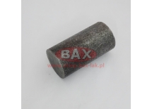 TRZPIEŃ GÓRNY RAMIENIA PB WSPAWYWANY