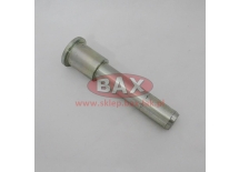 SWORZEŃ GÓRNY SIŁOWNIKA KOŁYSKI TYLNEJ