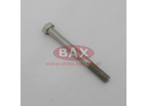 ŚRUBA ZAWIASU OSŁONY M8x80, Niro A2