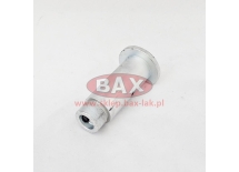 SWORZEŃ GÓRNEGO POKŁADU