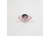 NAKRĘTKA M12 CL10 ISO7040