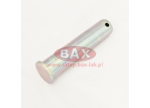 SWORZEŃ DOLNY SIŁOWNIKA W D35X164