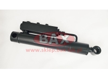 SIŁOWNIK HYDR. D28/50 C250 AUT