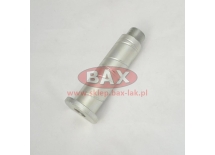 SWORZEŃ GÓRNY RAMIENIA