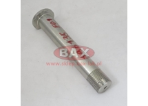 SWORZEŃ GÓRNY SIŁOWNIKA