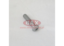 ŚRUBA GRZYBKOWA M10x45 8.8 ISO7380