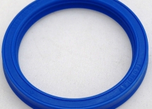 USZCZELNIACZ TTI 45x55x7/8