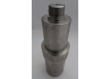 SWORZEŃ DOLNY RAMIENIA