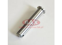 SWORZEŃ D34/25X120