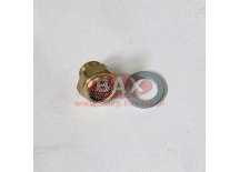 KOREK ODDECHOWY Z USZCZELNIENIEM TSP 1/8"