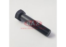 ŚRUBA MONTAŻOWA PŁYTY F00498570, M22X1,50-100 10.9