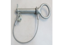 SWORZEŃ ZABEZPIECZAJĄCY