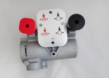 ZAWÓR PARKUJĄCO LUZUJĄCY EBS